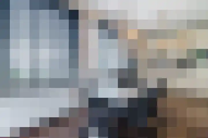 Meester van Loostraat 1 a Waarder thumbnail 19