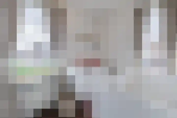 Meester van Loostraat 1 a Waarder thumbnail 24