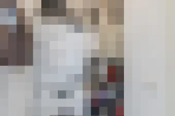Meester van Loostraat 1 a Waarder thumbnail 30