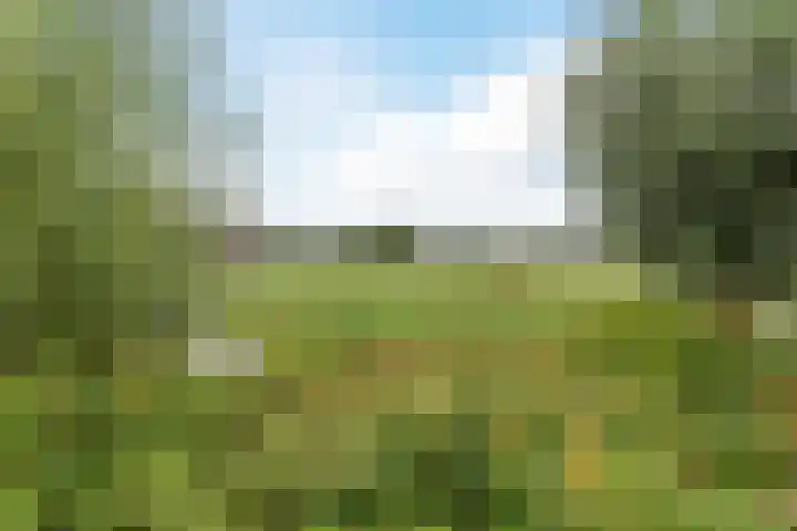 Meester van Loostraat 1 a Waarder thumbnail 35