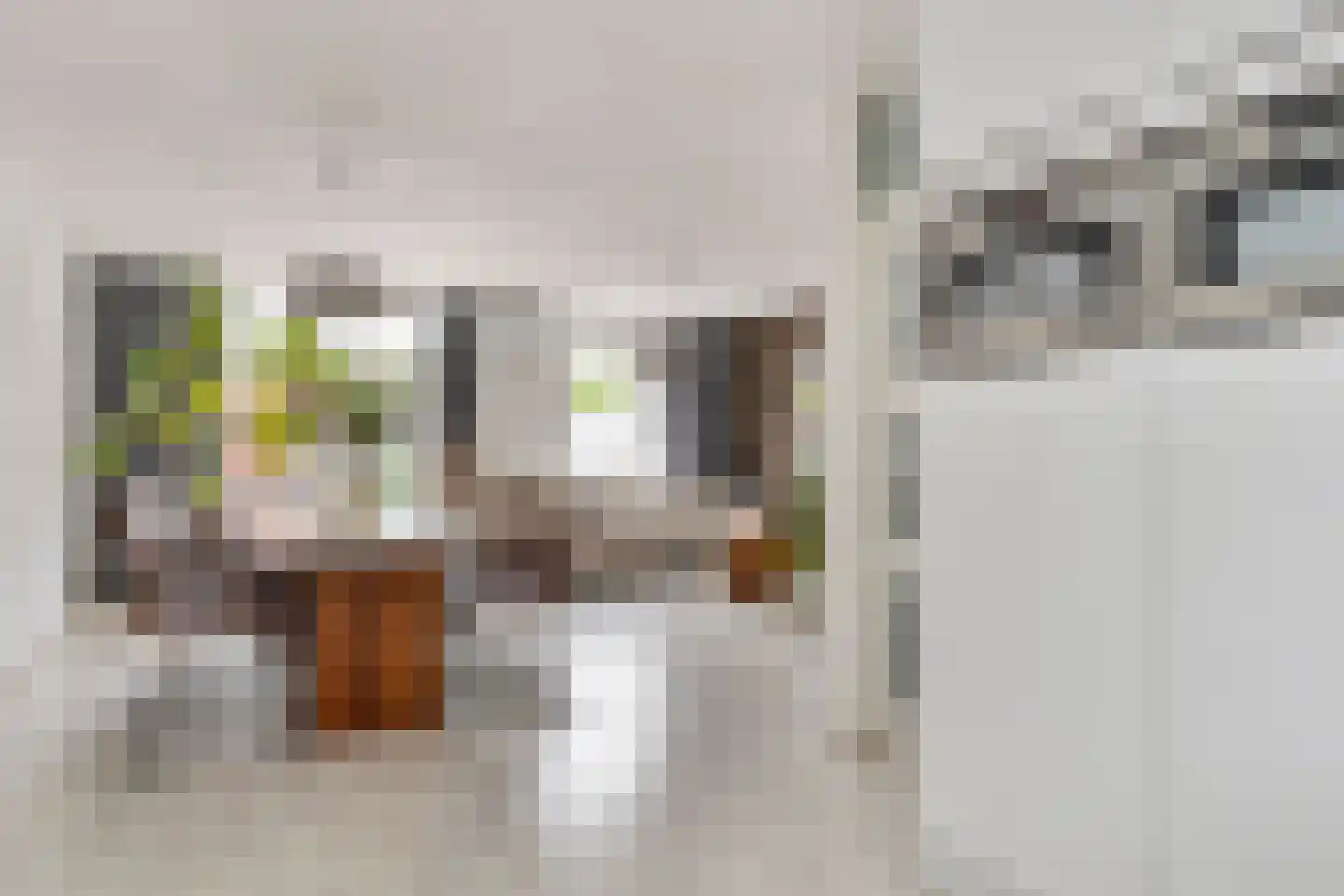 Meester van Merwicklaan 23 Den Bosch thumbnail 11