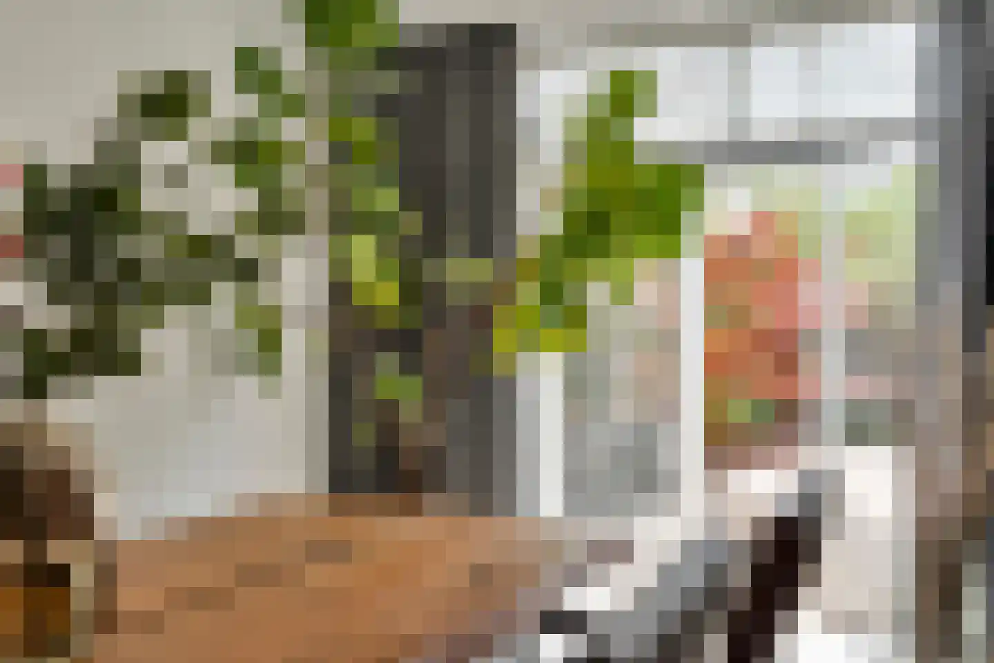 Meester van Merwicklaan 23 Den Bosch thumbnail 15