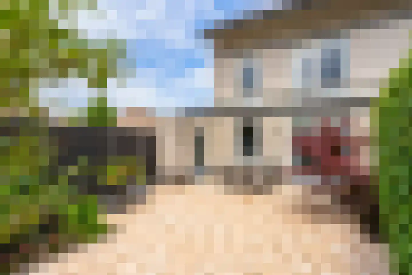 Meester van Merwicklaan 23 Den Bosch thumbnail 16