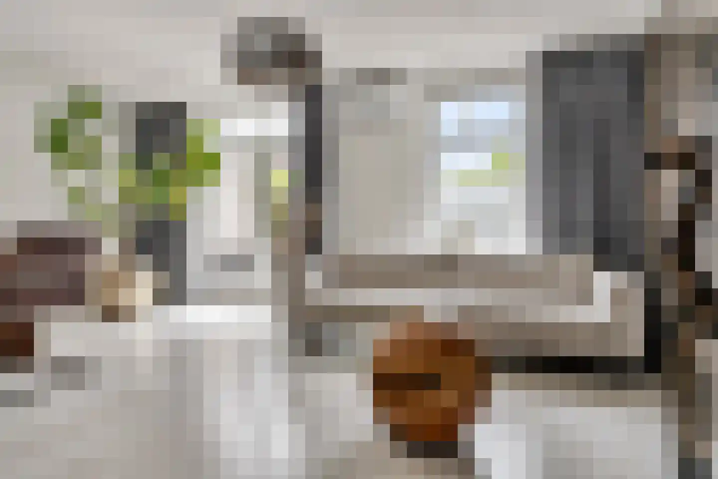 Meester van Merwicklaan 23 Den Bosch thumbnail 6