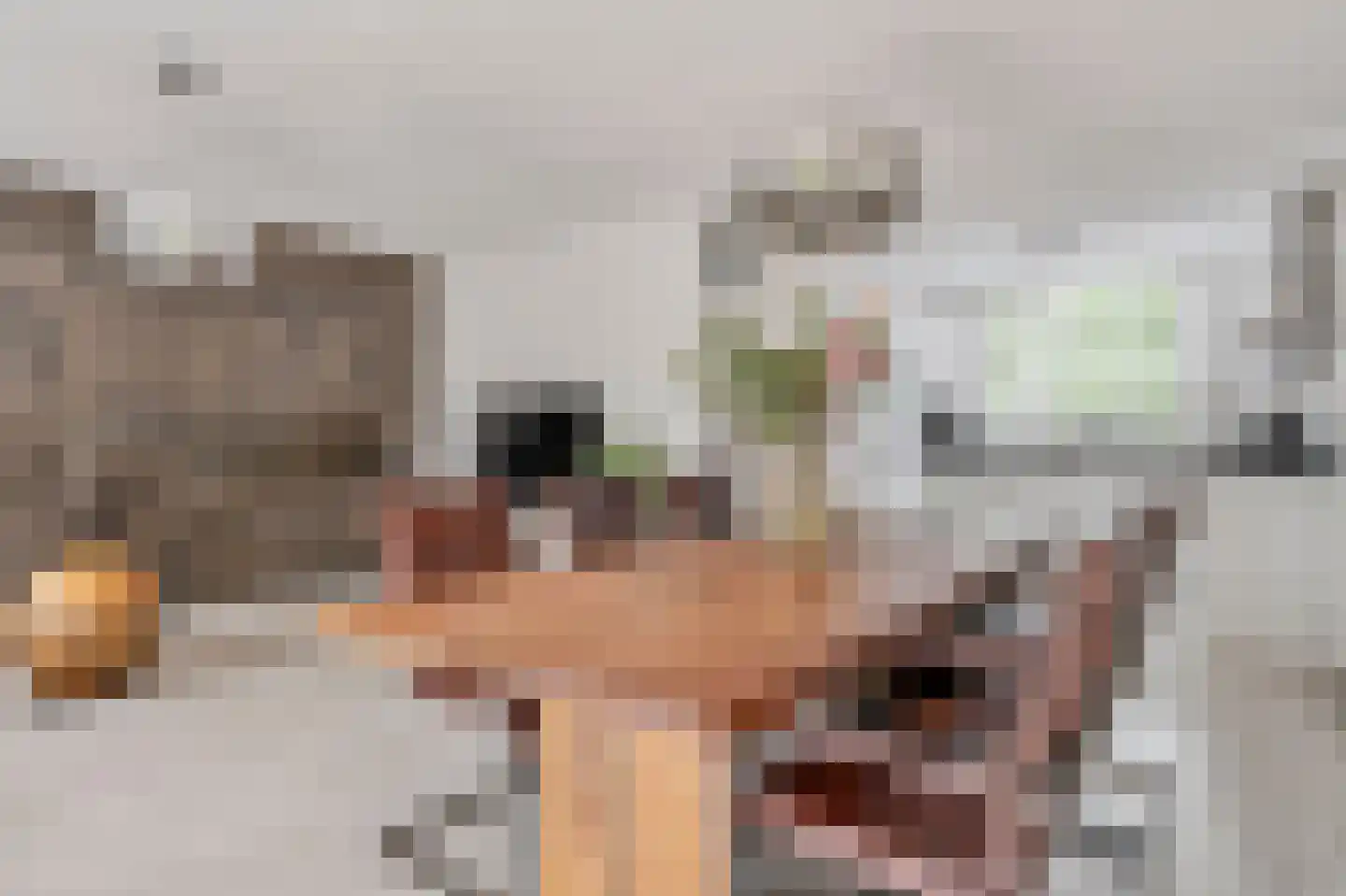 Meester van Merwicklaan 23 Den Bosch thumbnail 7