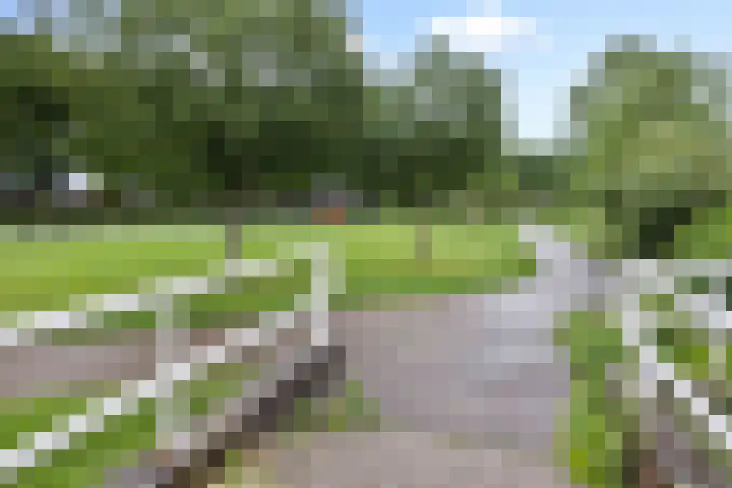 Meester van Merwicklaan 31 's-Hertogenbosch thumbnail 26