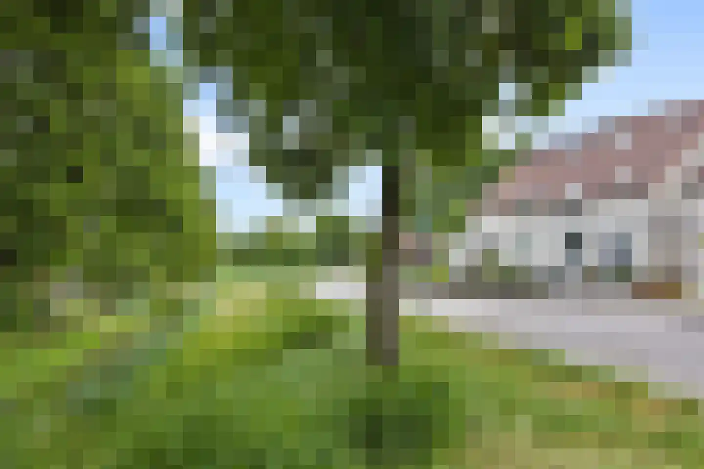Meester van Merwicklaan 31 's-Hertogenbosch thumbnail 6
