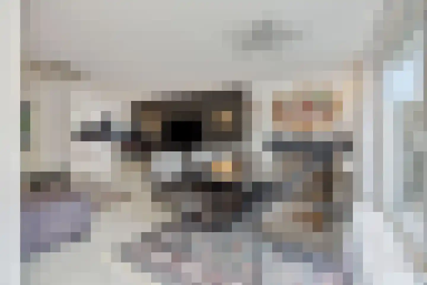 Meester van Merwicklaan 31 's-Hertogenbosch thumbnail 7