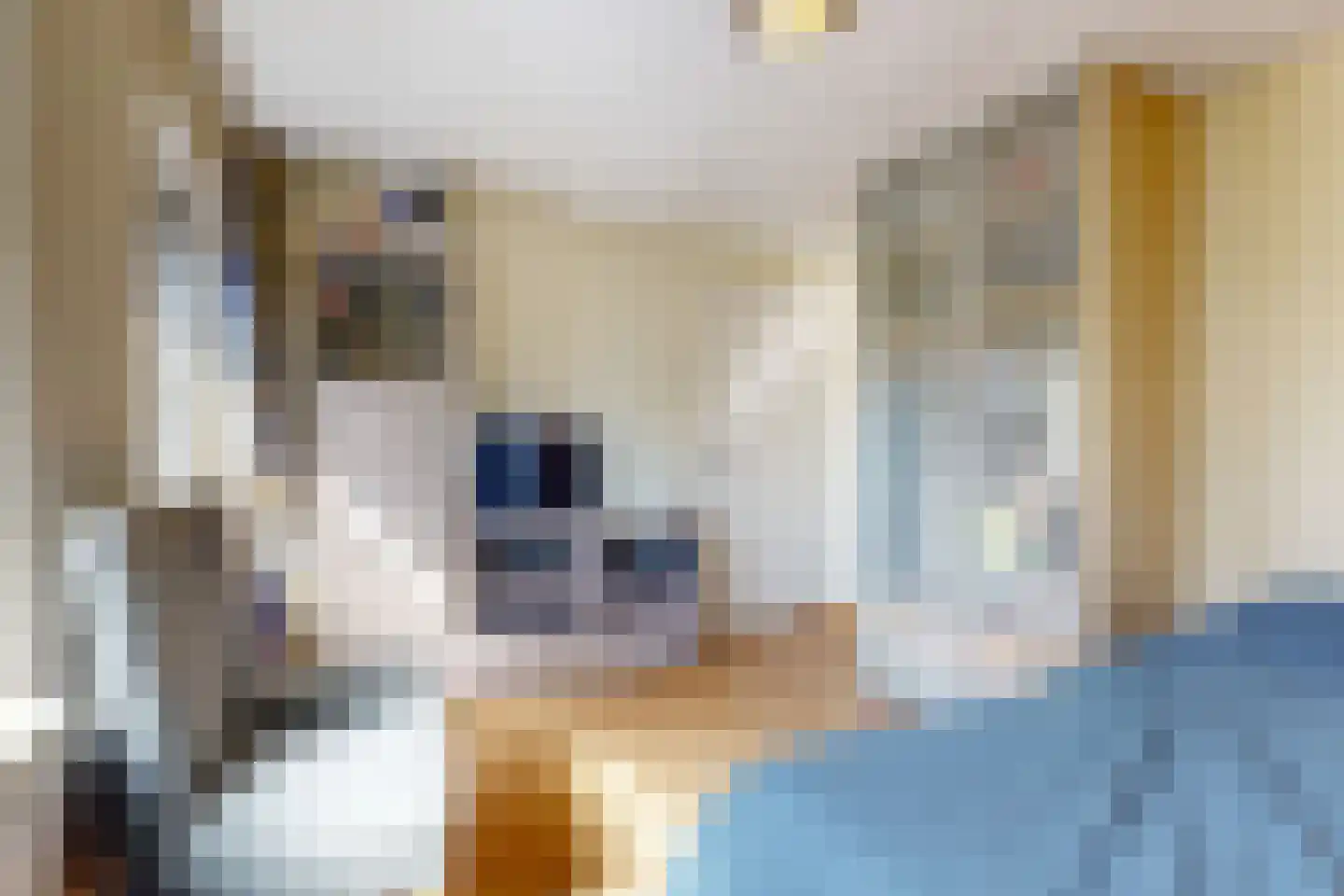 Meester van Rennesweg 1 A Renkum thumbnail 23