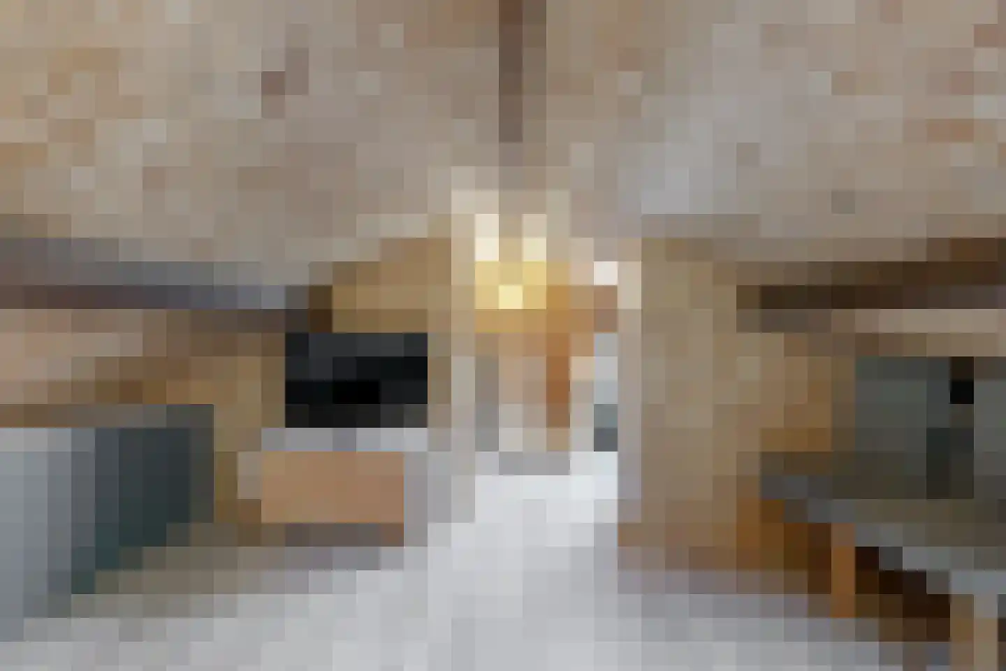 Meester van Rennesweg 1 A Renkum thumbnail 28
