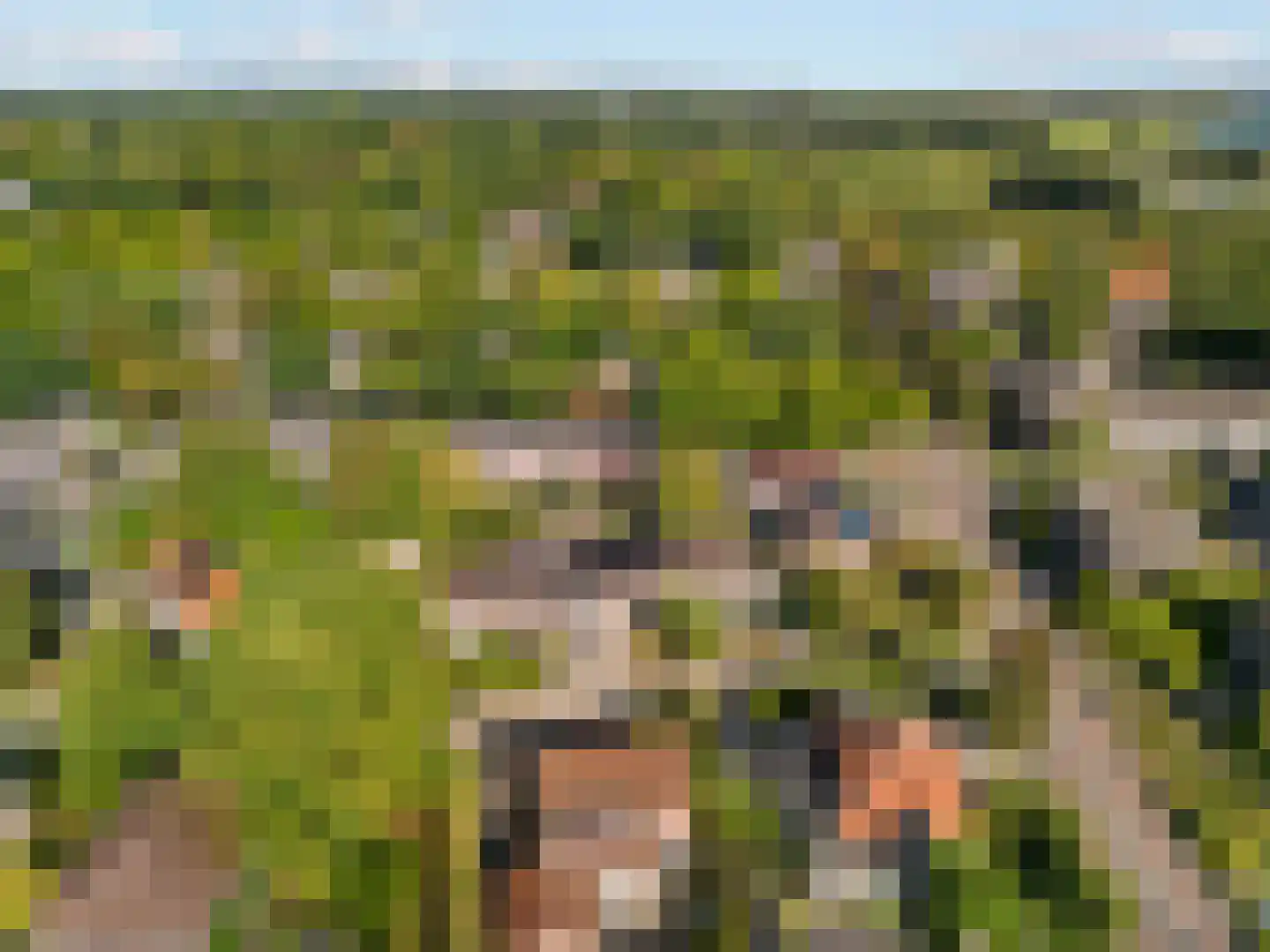 Meester van Rennesweg 1 A Renkum thumbnail 37