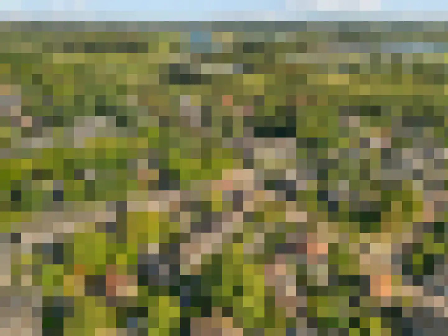 Meester van Rennesweg 1 A Renkum thumbnail 38