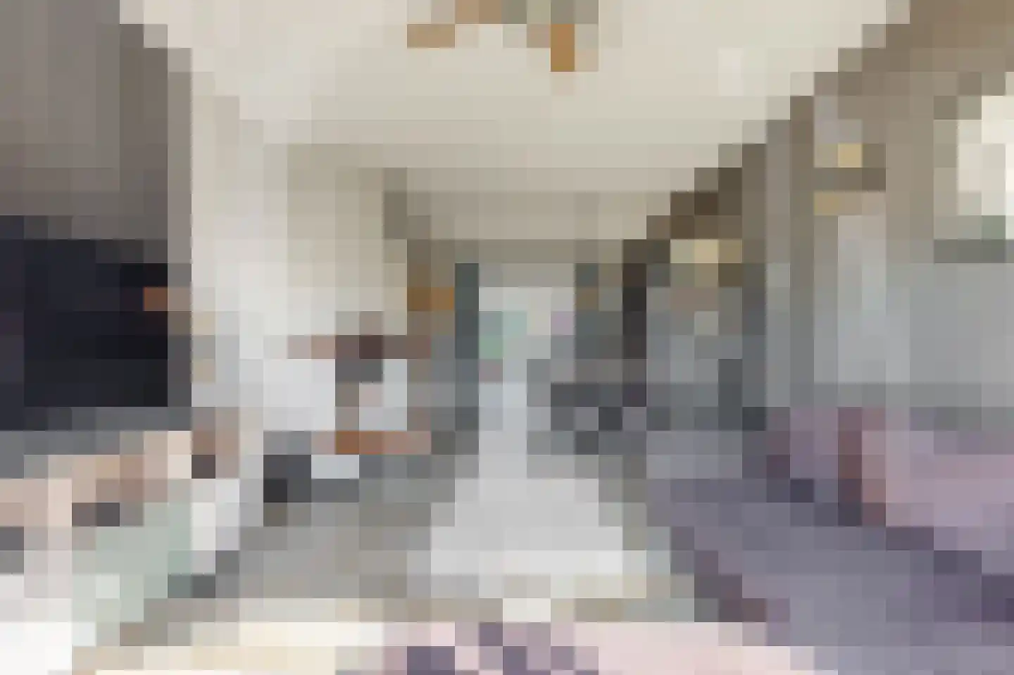 Meester van Rennesweg 1 A Renkum thumbnail 4