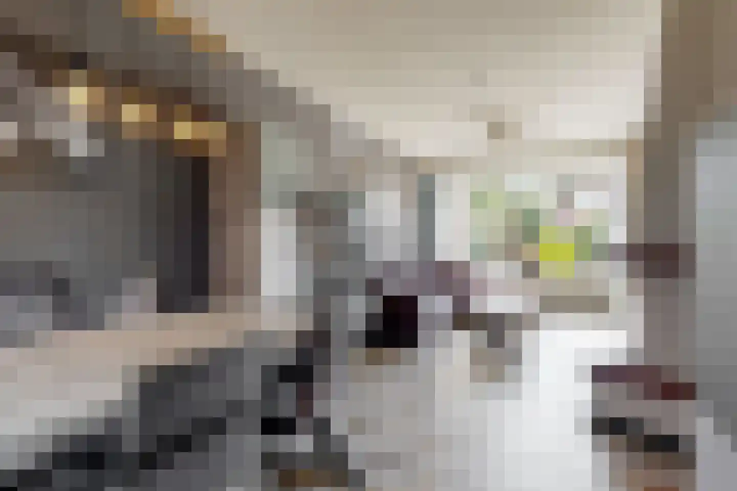 Meester van Rennesweg 1 A Renkum thumbnail 6