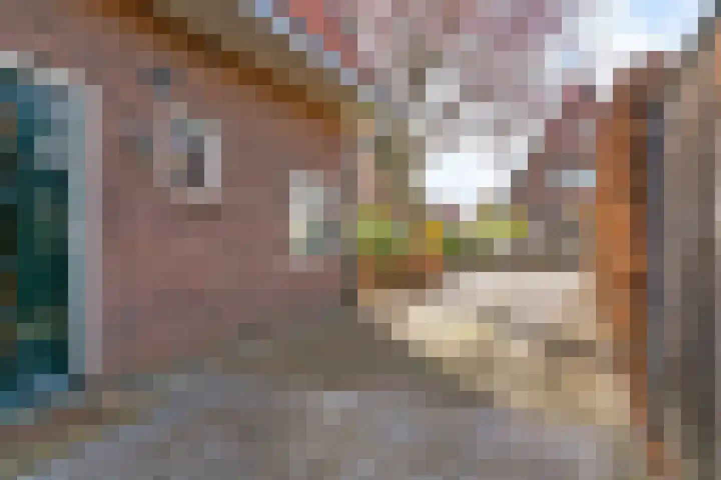 Meester van Rennesweg 29 Renkum thumbnail 44