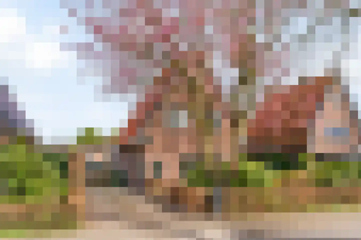 Meester van Rennesweg 29 Renkum thumbnail 47