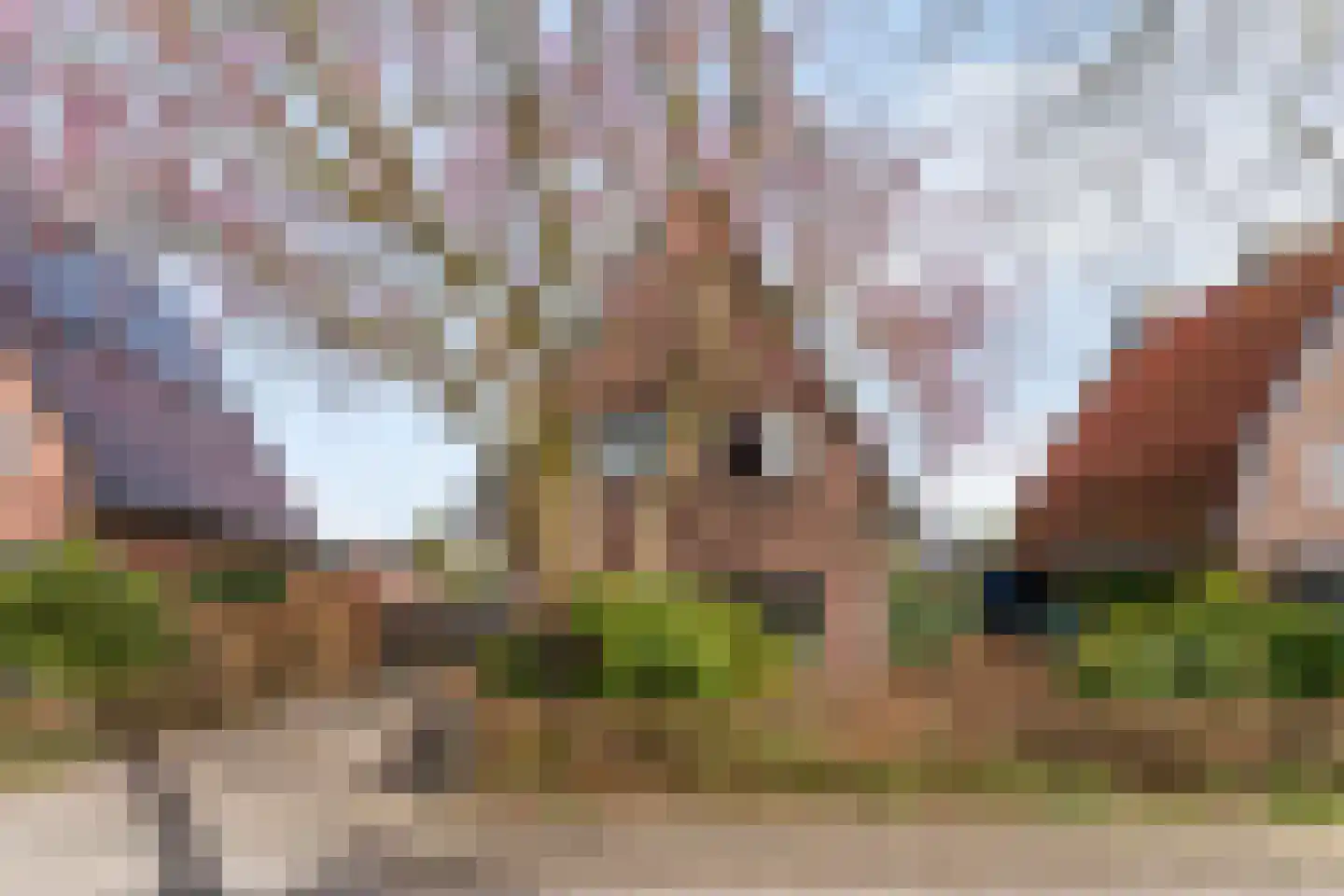 Meester van Rennesweg 29 Renkum thumbnail 48