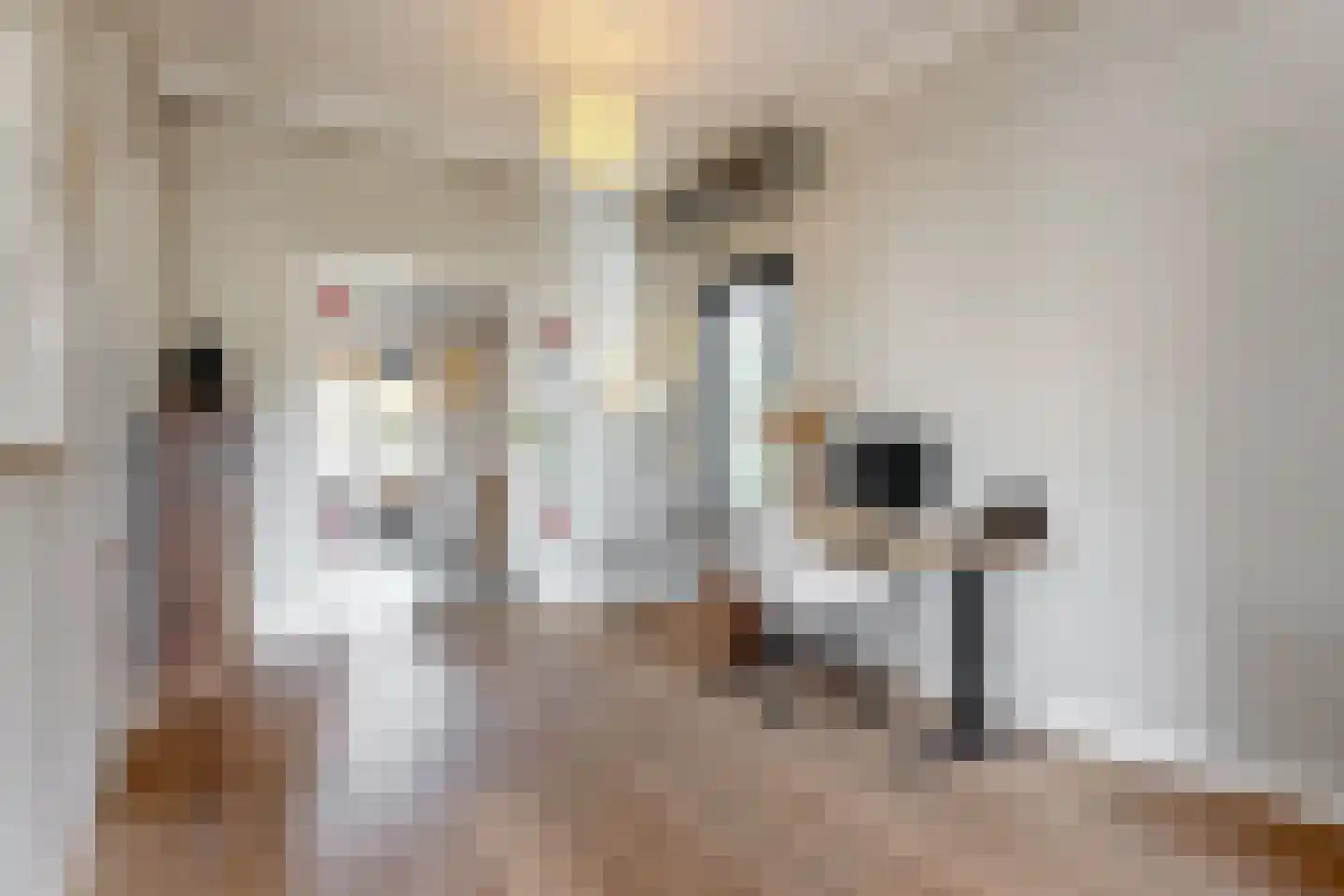 Meester van Rennesweg 29 Renkum thumbnail 8