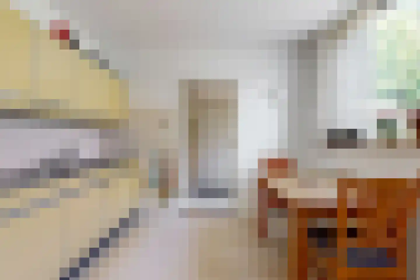 Meester van Rennesweg 6 Renkum thumbnail 12