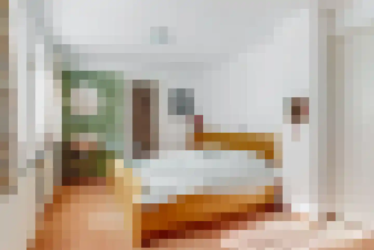 Meester van Rennesweg 6 Renkum thumbnail 22