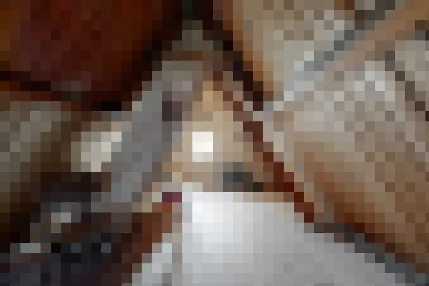 Meester van Rennesweg 6 Renkum thumbnail 24