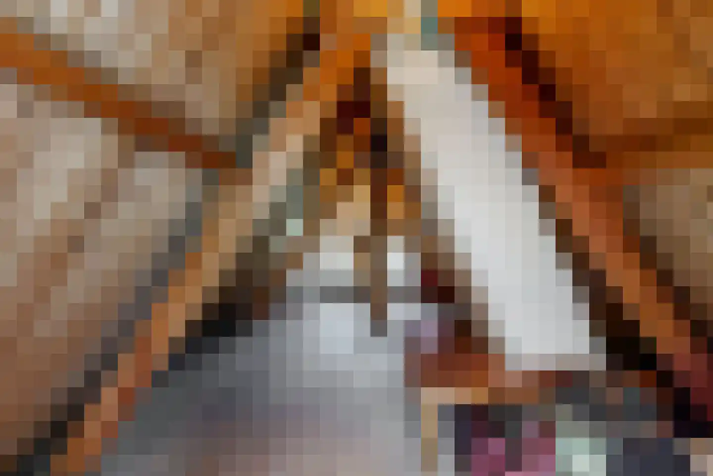 Meester van Rennesweg 6 Renkum thumbnail 25