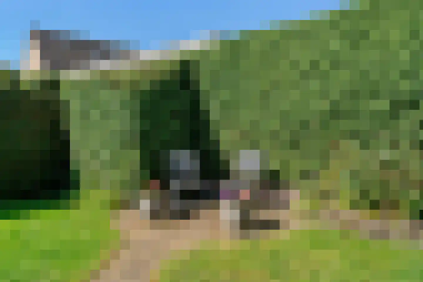 Meester van Rennesweg 6 Renkum thumbnail 30