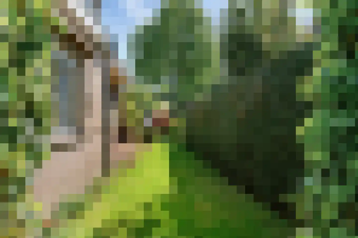 Meester van Rennesweg 6 Renkum thumbnail 33