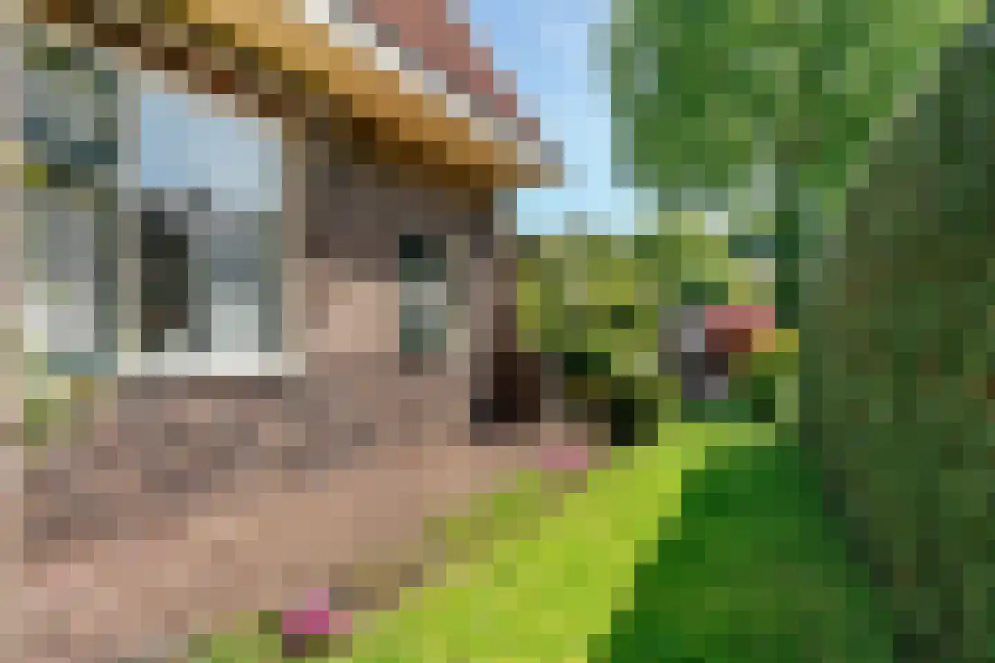 Meester van Rennesweg 6 Renkum thumbnail 34