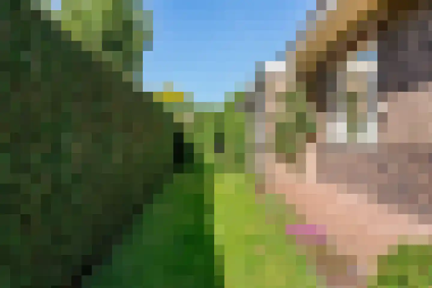 Meester van Rennesweg 6 Renkum thumbnail 35