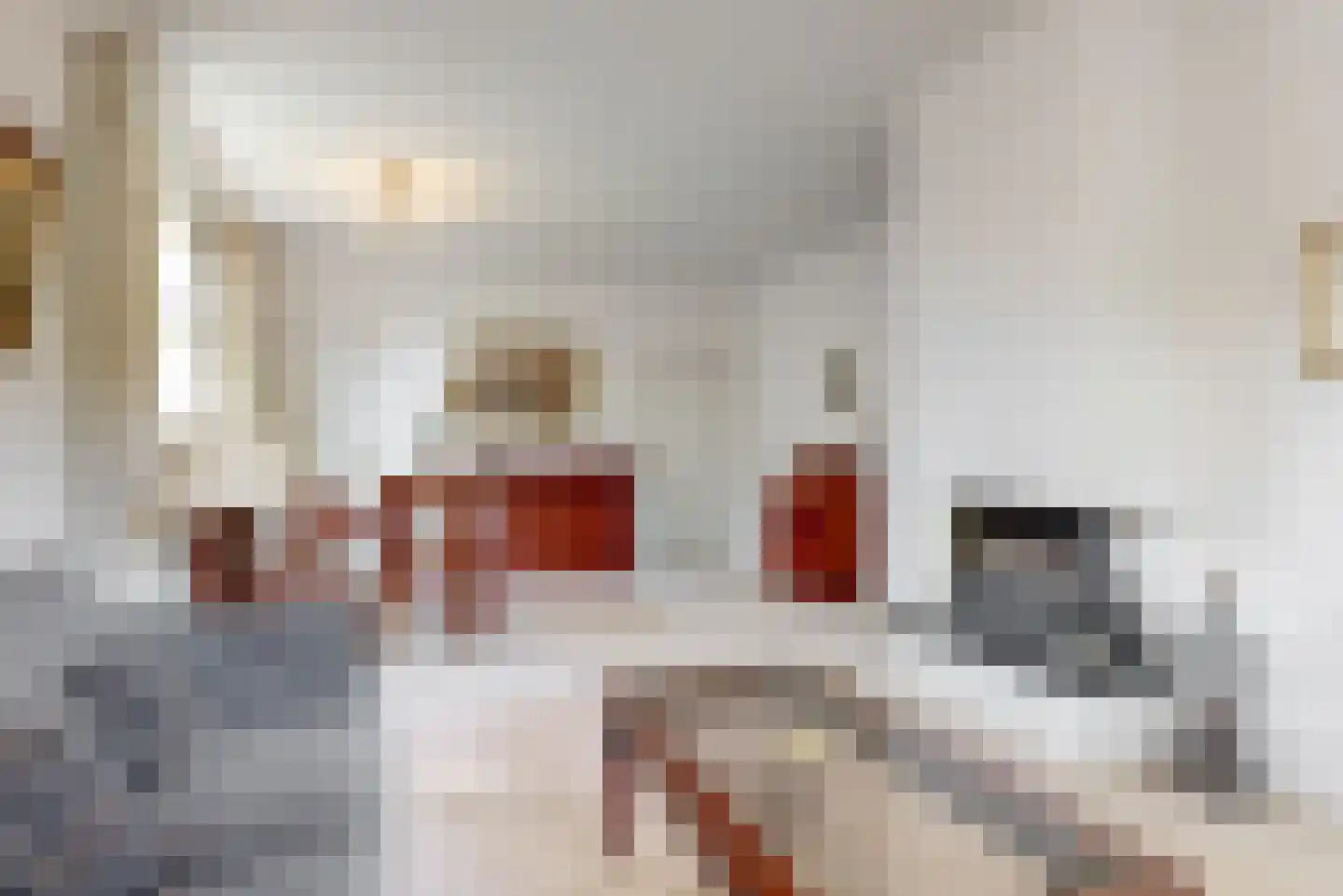 Meester van Rennesweg 6 Renkum thumbnail 5