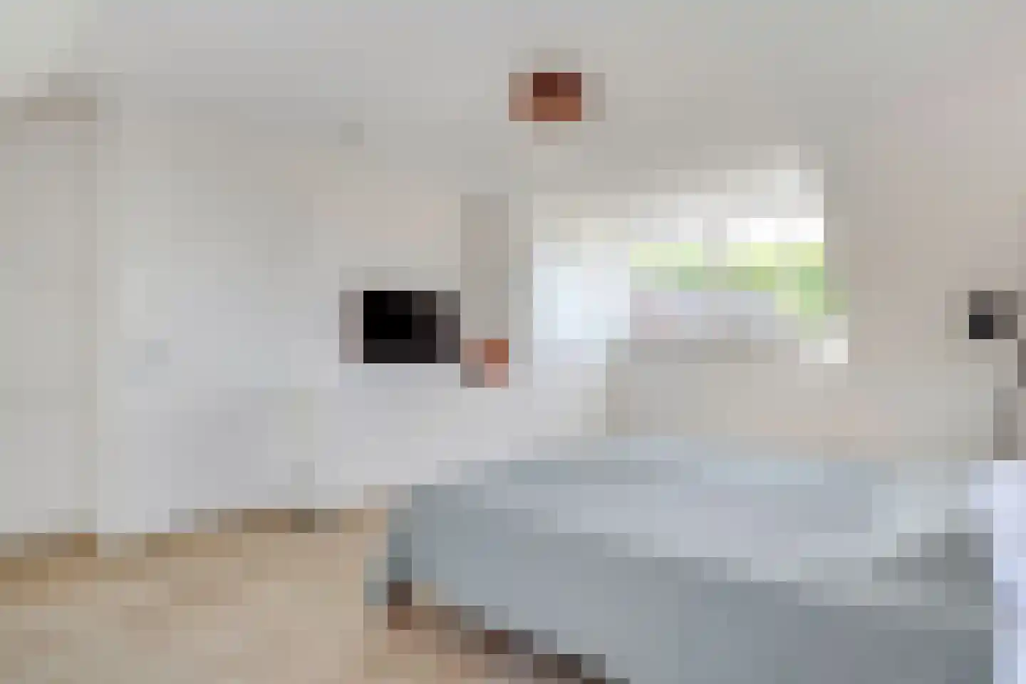 Meester Van Rooijenplein 5 Werkhoven thumbnail 39