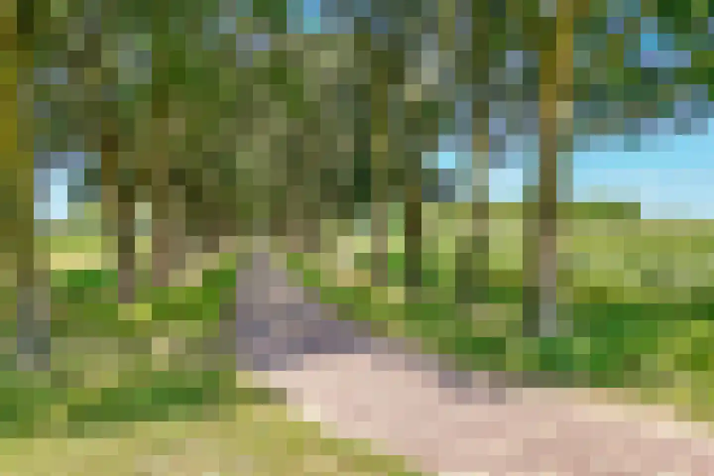 Meester Van Rooijenplein 5 Werkhoven thumbnail 64