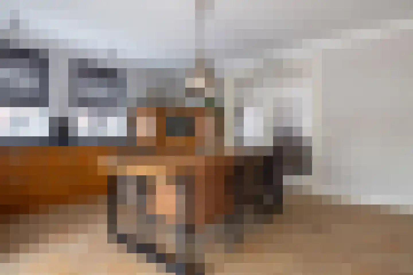 Meester van Zutphenstraat 12 Erp thumbnail 15