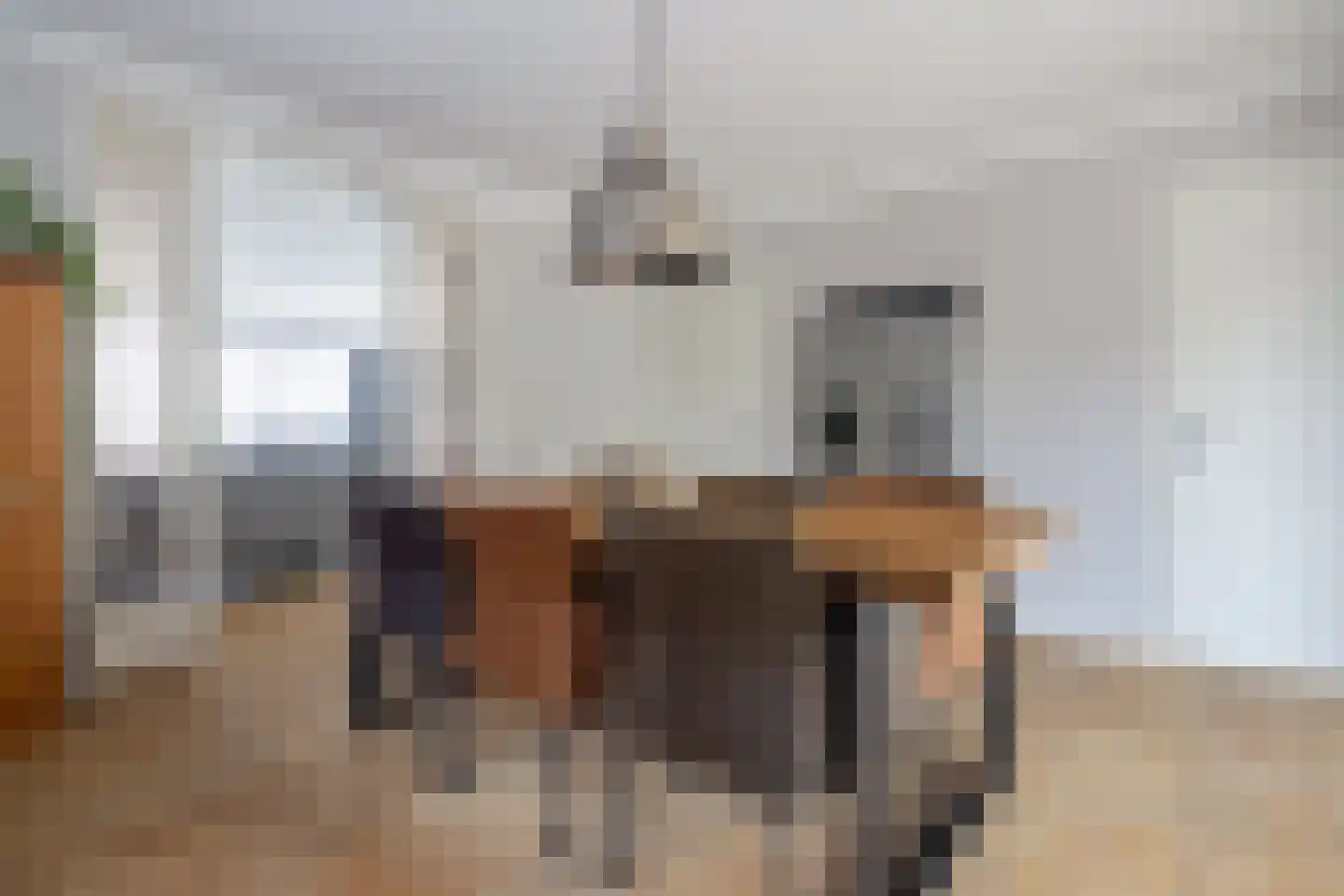 Meester van Zutphenstraat 12 Erp thumbnail 16