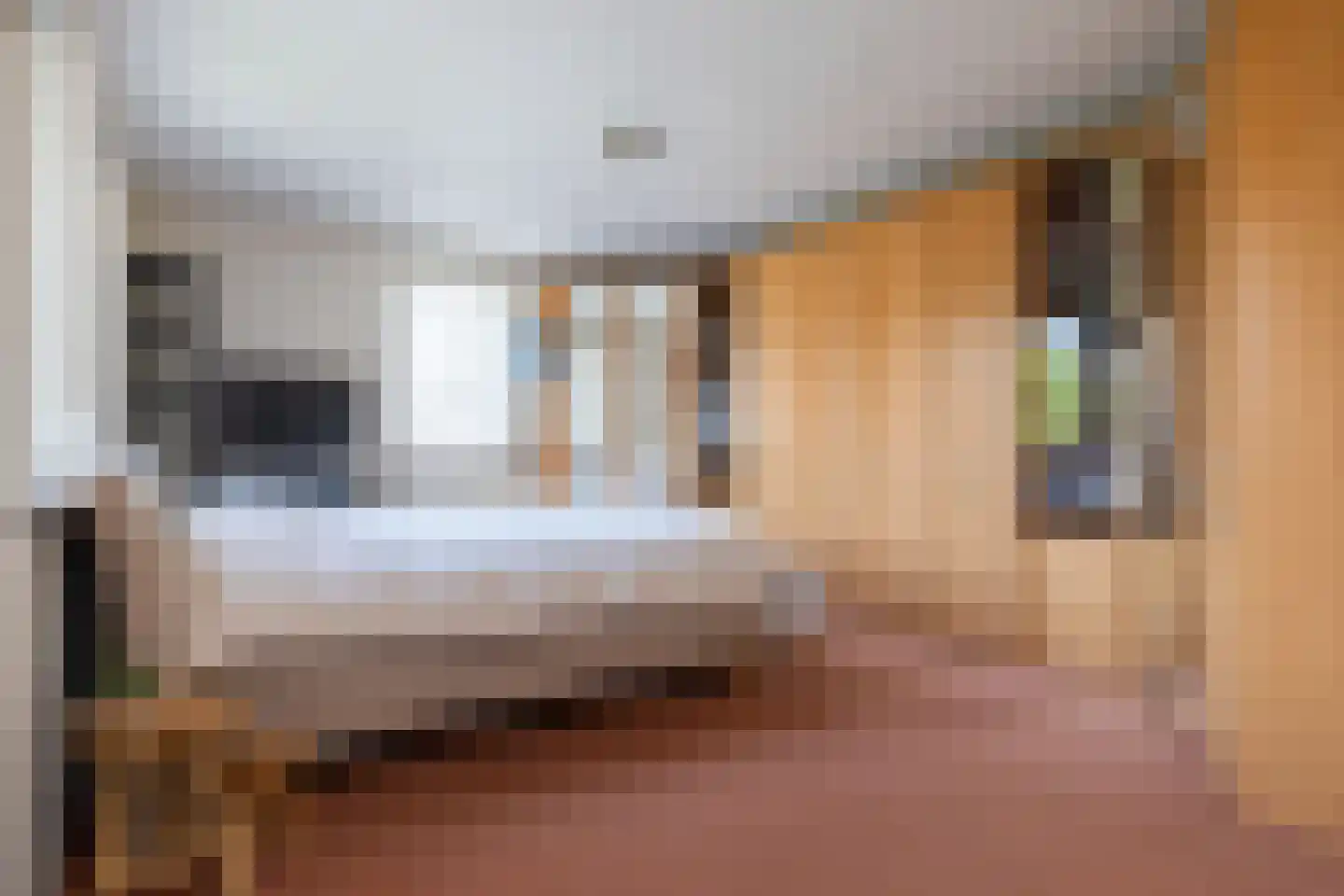 Meester van Zutphenstraat 12 Erp thumbnail 18