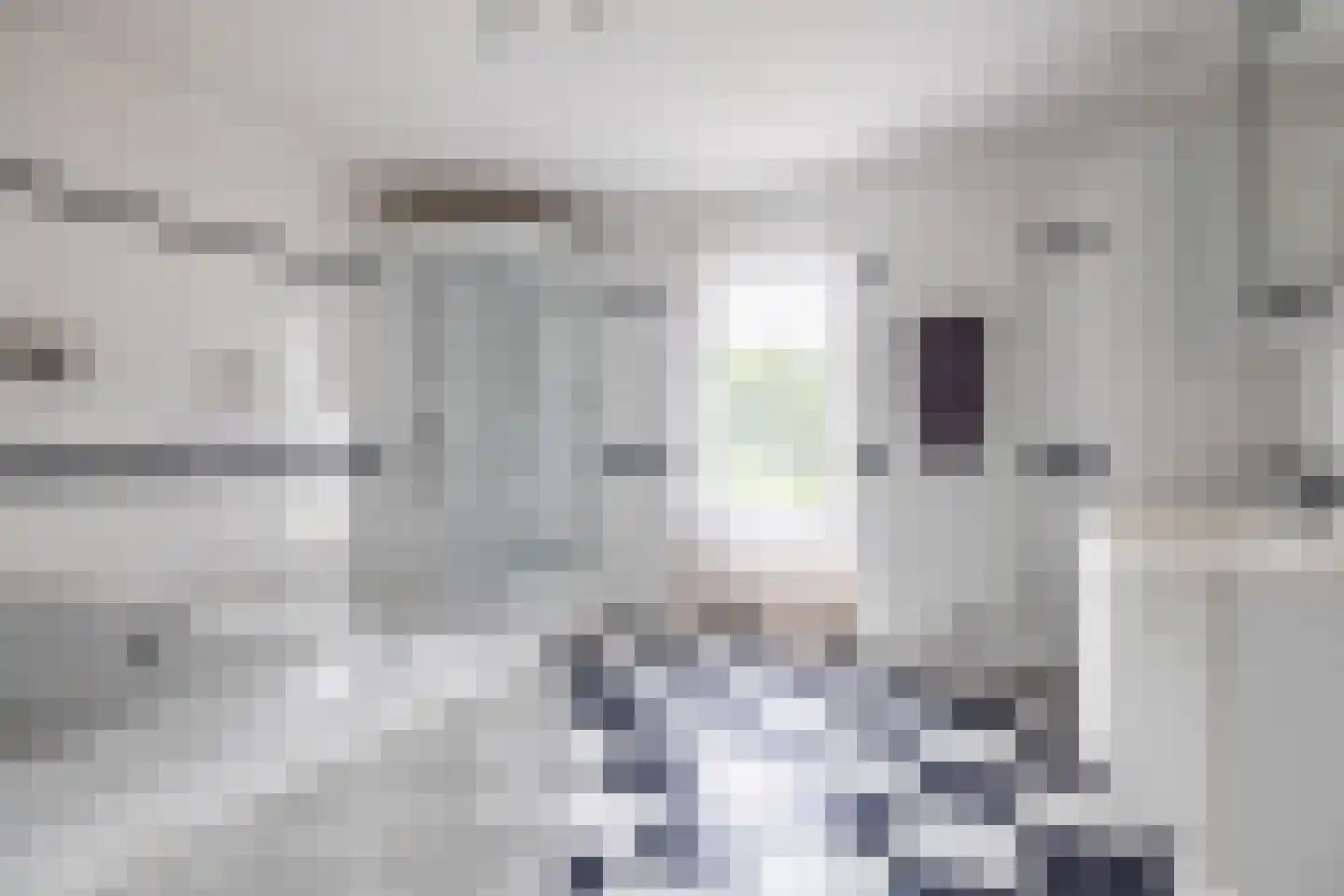 Meester van Zutphenstraat 12 Erp thumbnail 27