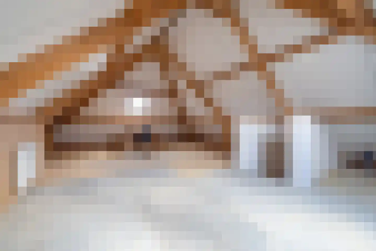 Meester van Zutphenstraat 12 Erp thumbnail 30
