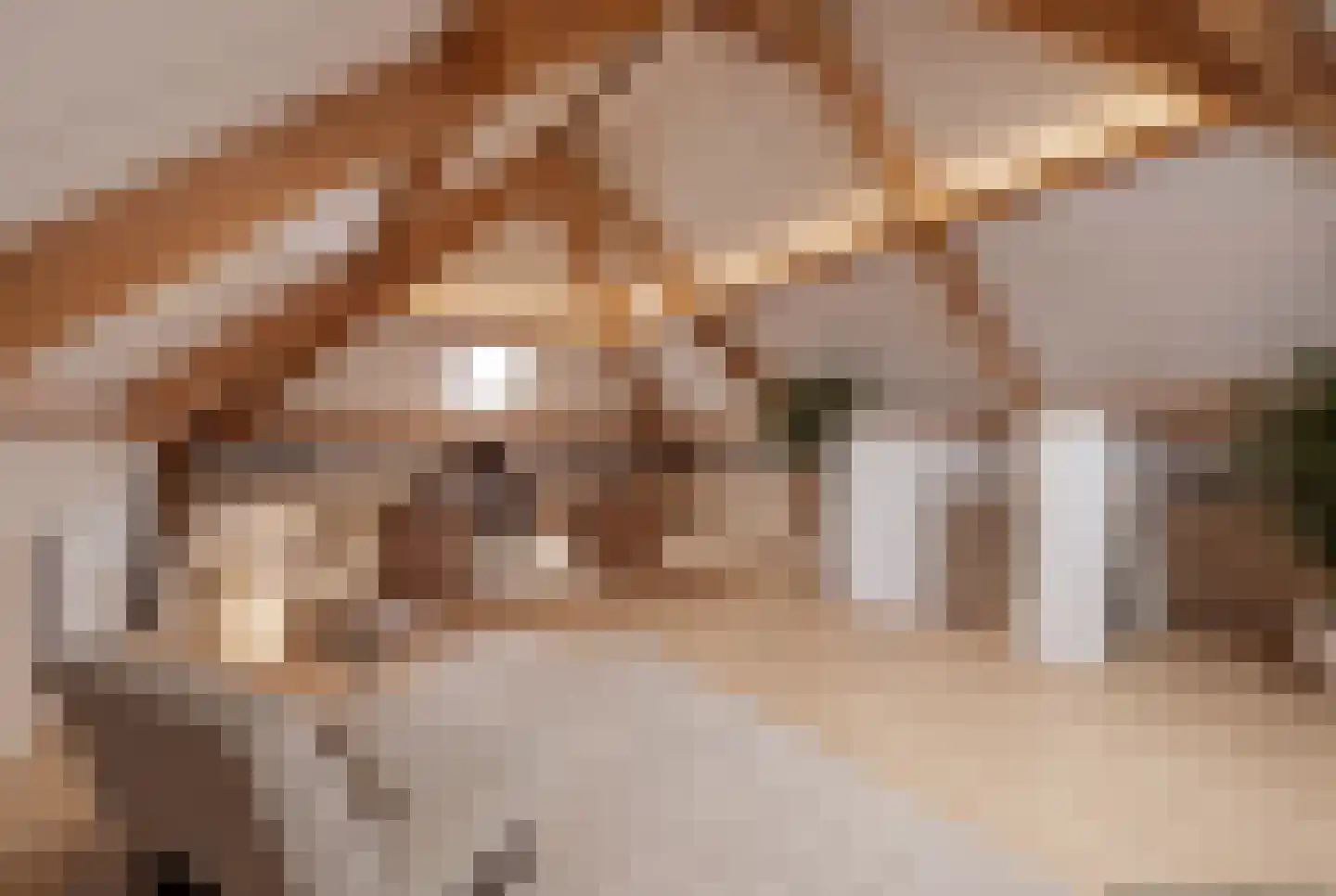 Meester van Zutphenstraat 12 Erp thumbnail 31