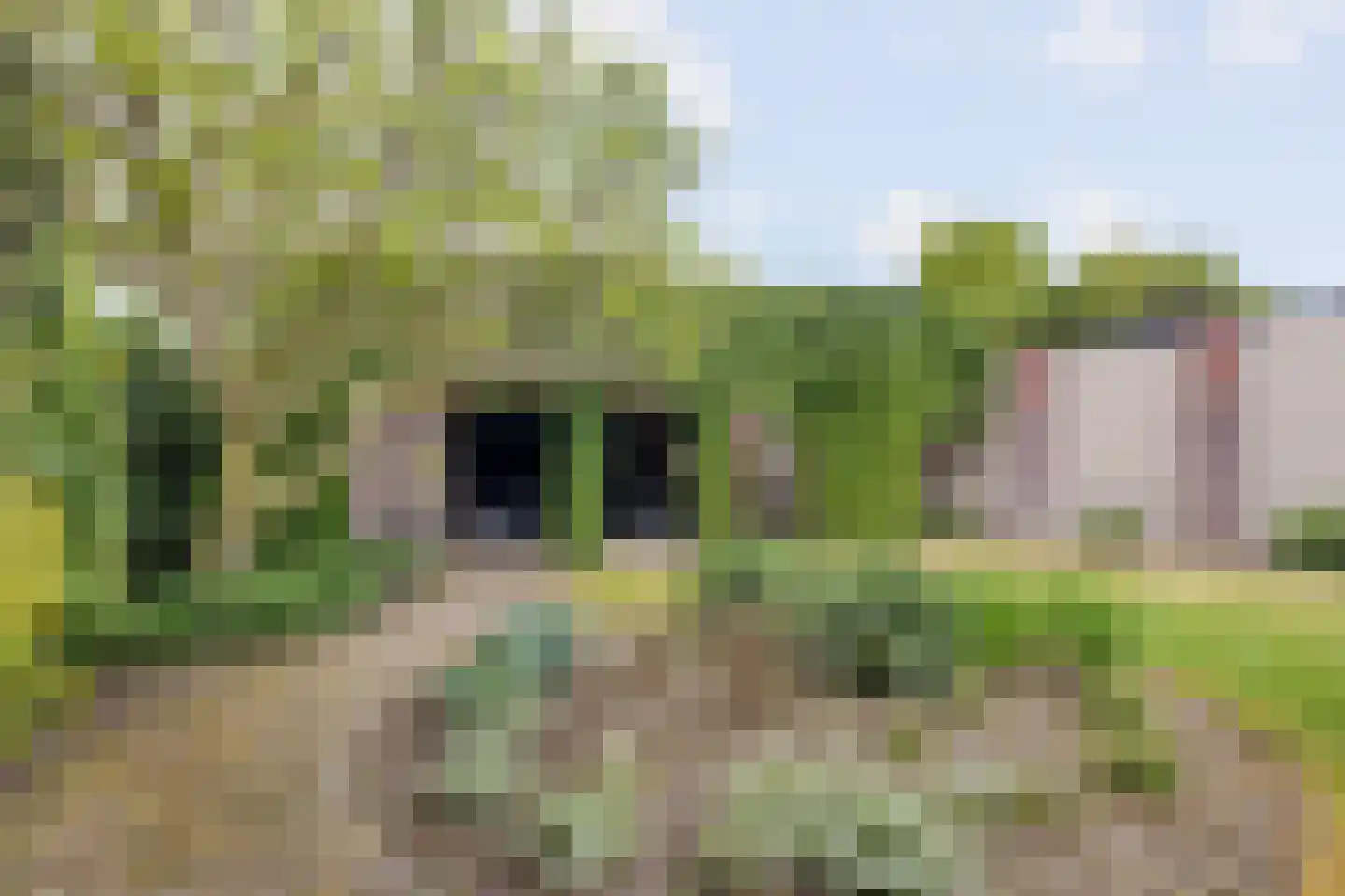 Meester van Zutphenstraat 12 Erp thumbnail 35