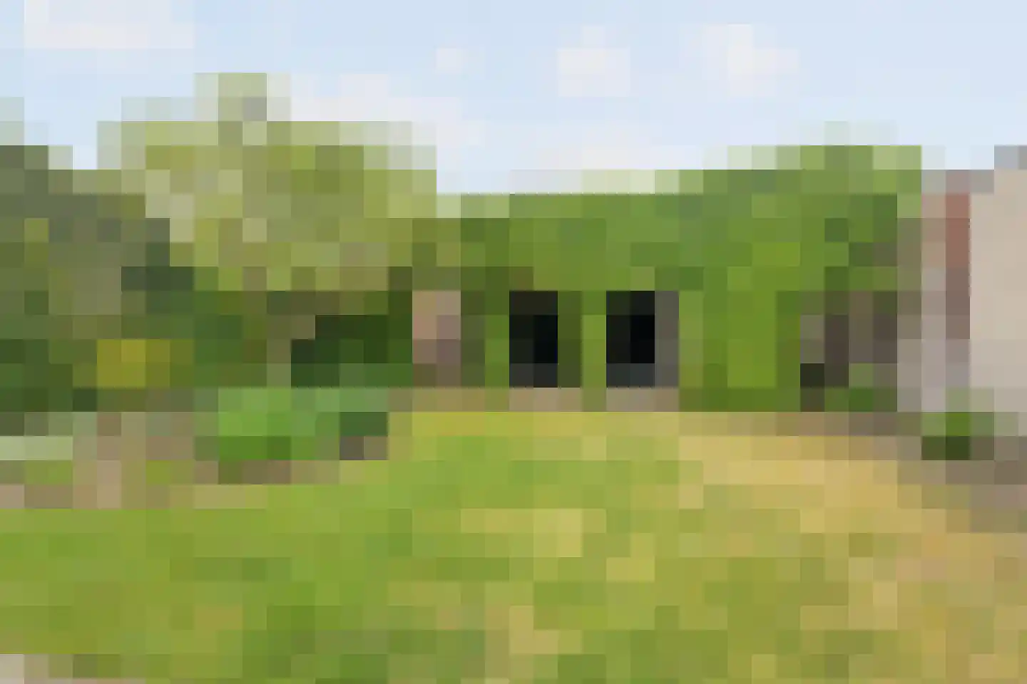 Meester van Zutphenstraat 12 Erp thumbnail 36