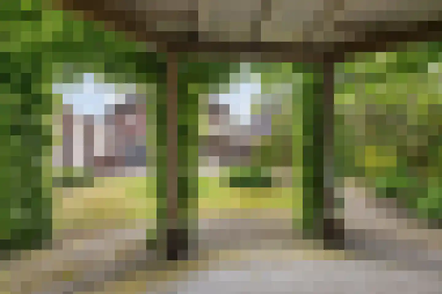 Meester van Zutphenstraat 12 Erp thumbnail 37