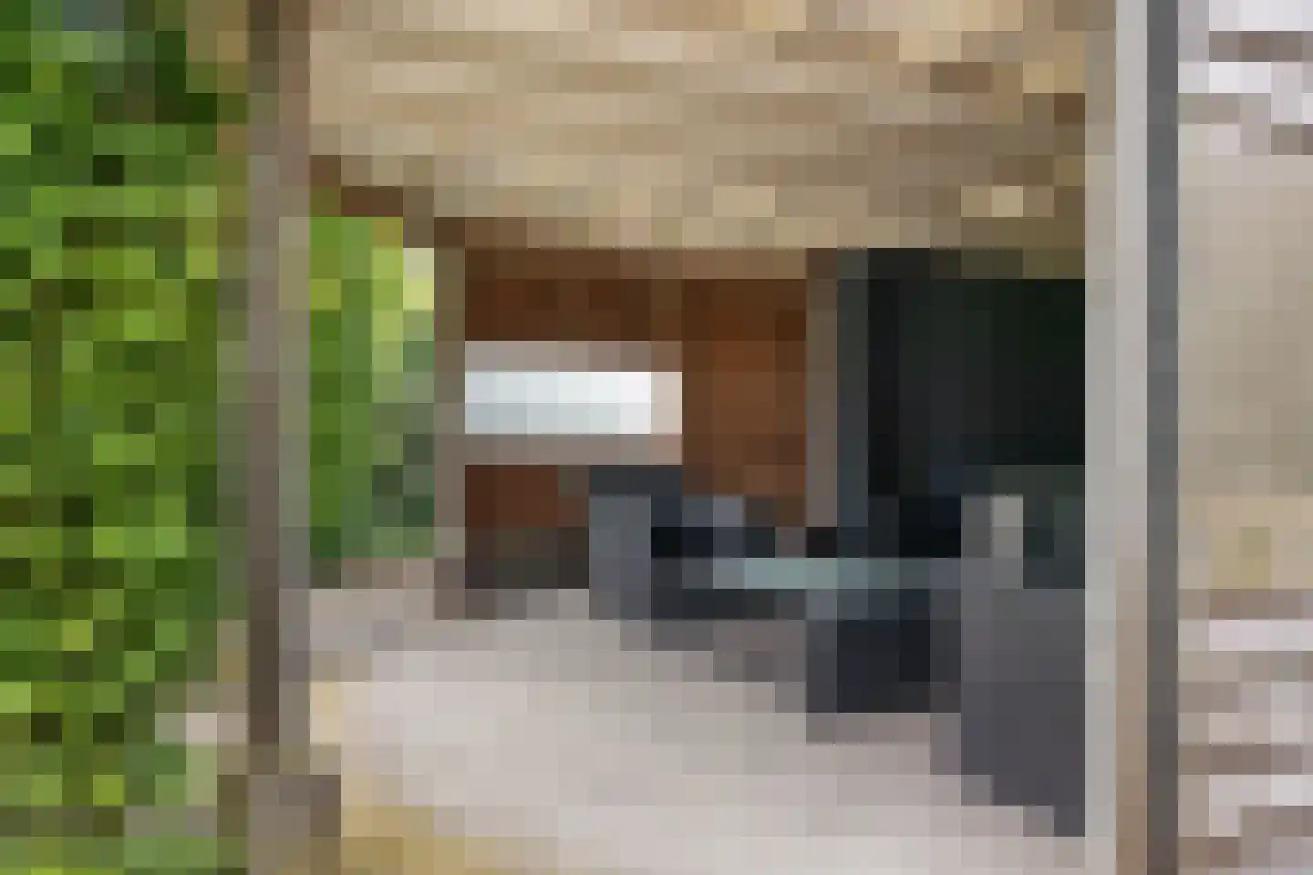 Meester van Zutphenstraat 12 Erp thumbnail 38