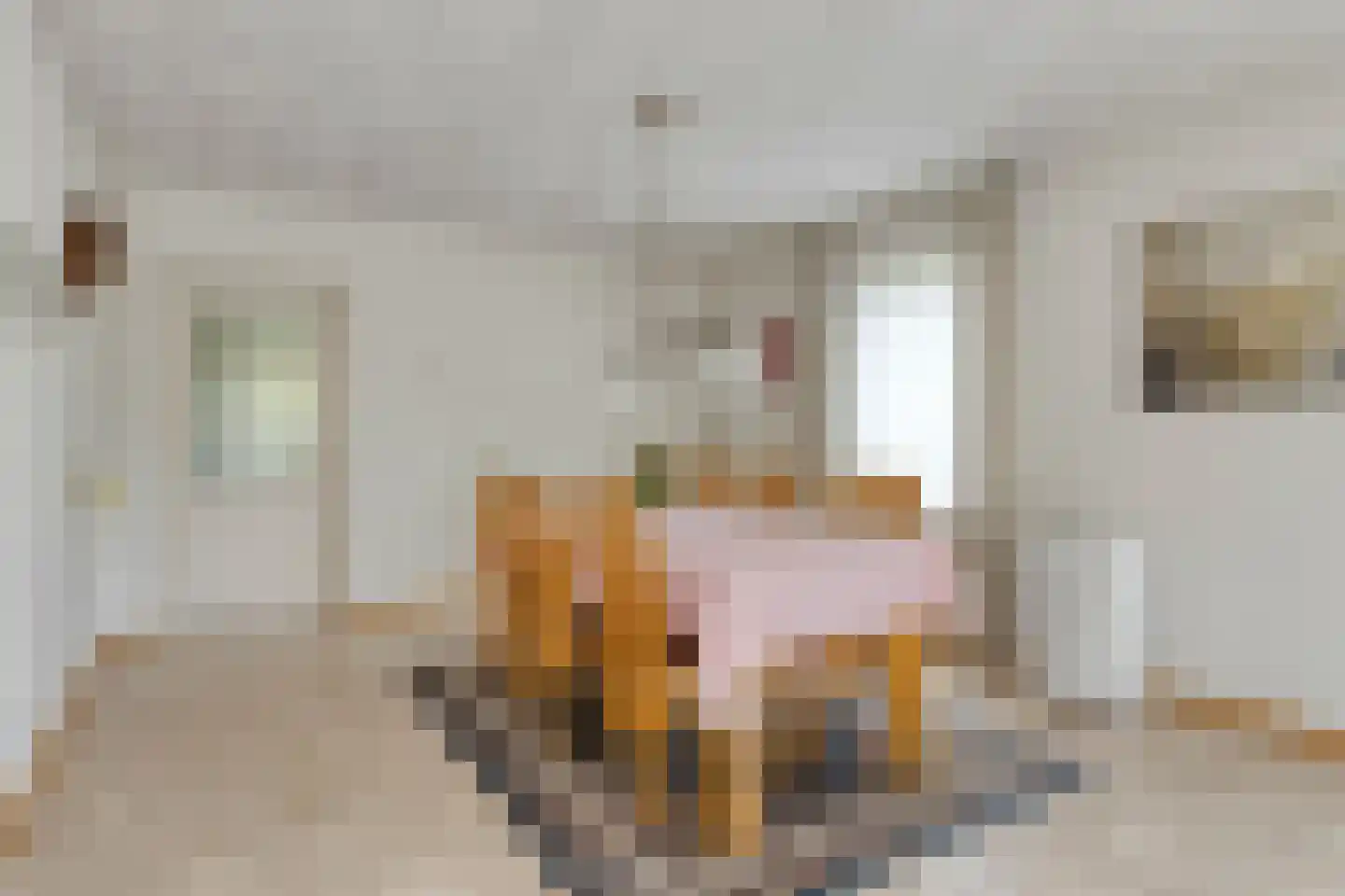 Meester van Zutphenstraat 4 Erp thumbnail 12