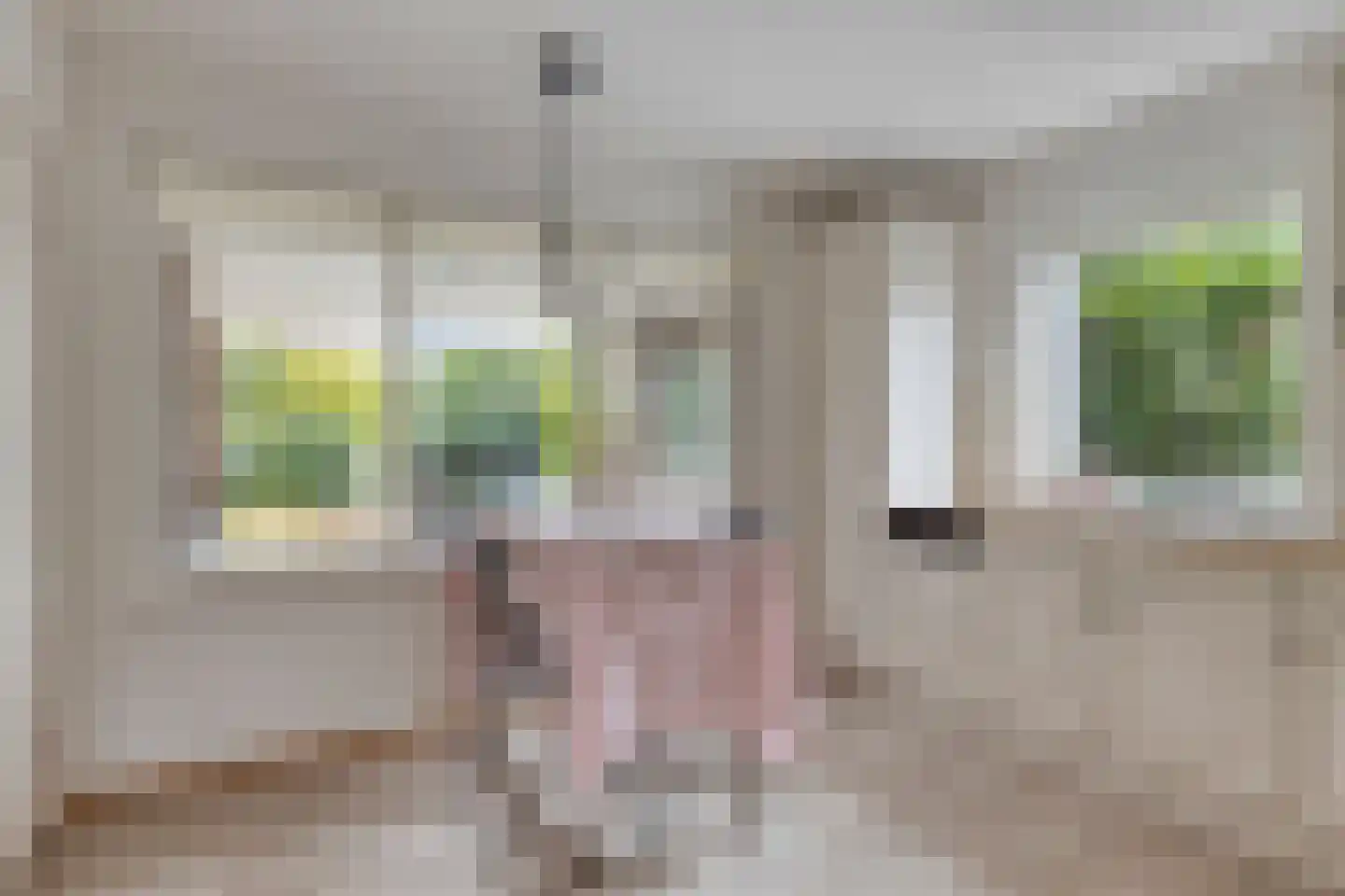 Meester van Zutphenstraat 4 Erp thumbnail 14