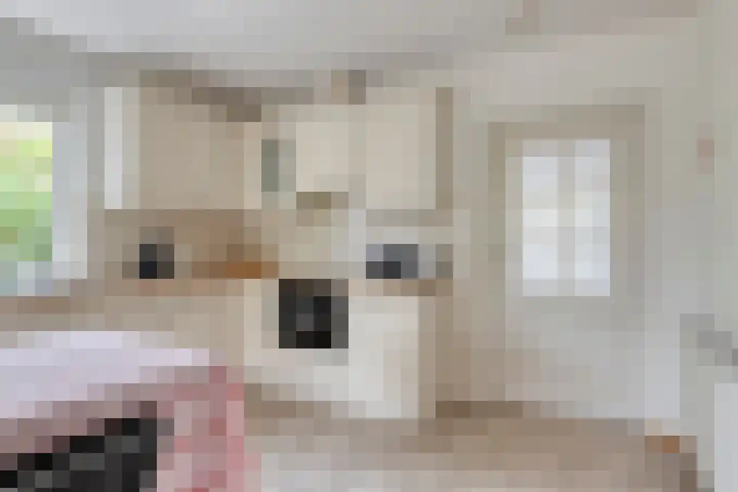 Meester van Zutphenstraat 4 Erp thumbnail 15