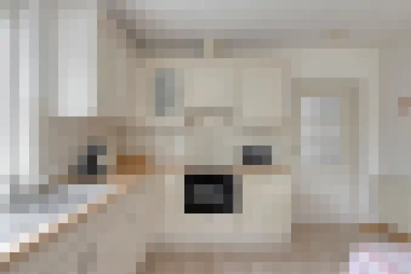 Meester van Zutphenstraat 4 Erp thumbnail 17