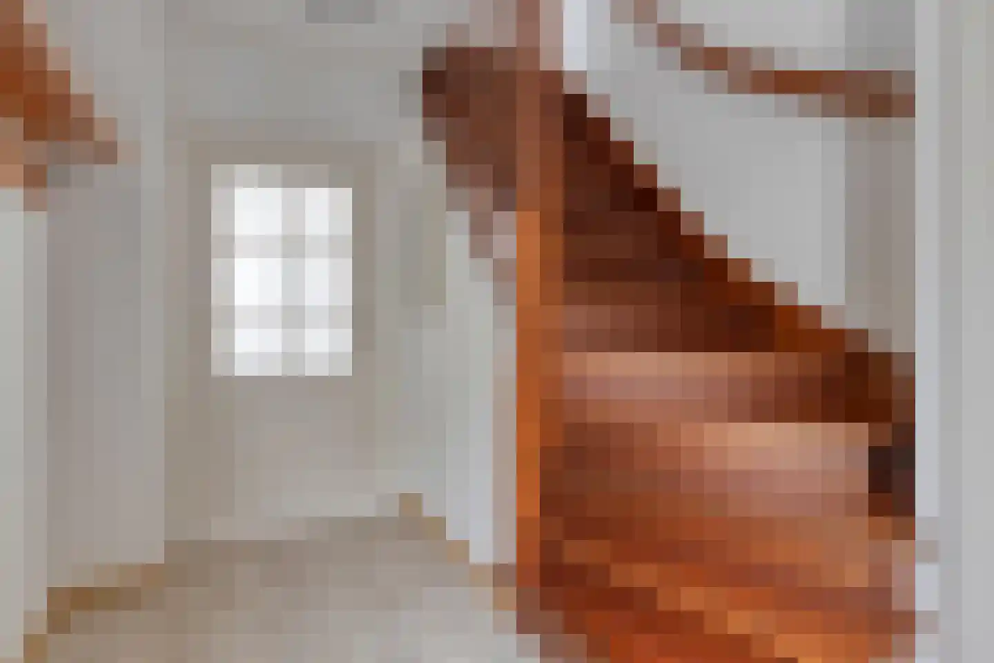 Meester van Zutphenstraat 4 Erp thumbnail 4
