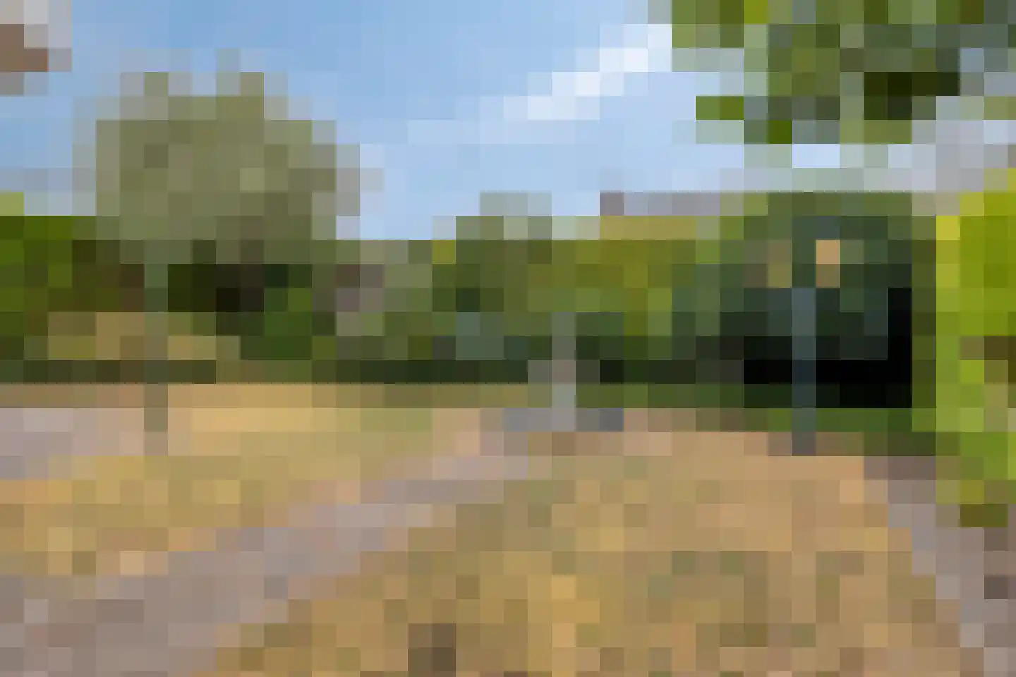 Meester van Zutphenstraat 4 Erp thumbnail 43