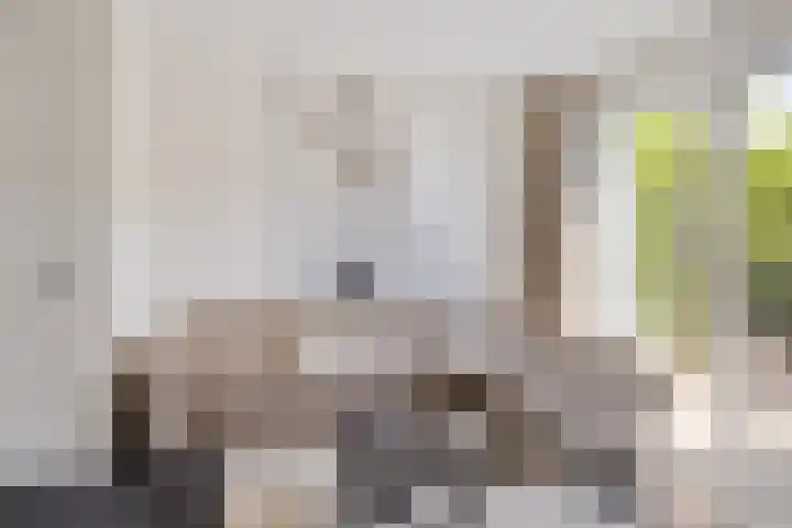 Meester Vermeulenstraat 19 Beek thumbnail 11